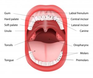 illustration of open mouth