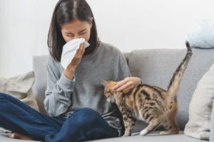 Woman sitting on couch petting cat sneezing into tissue